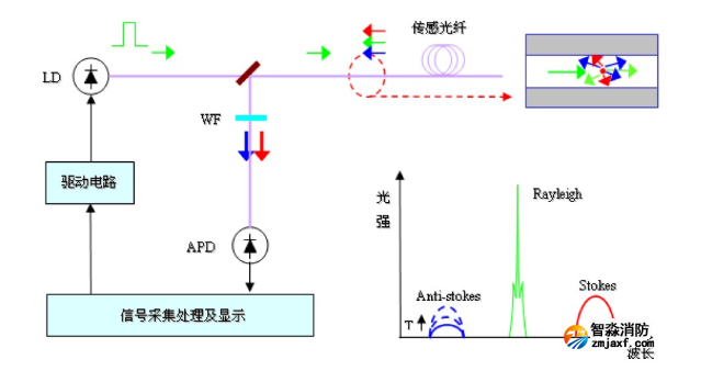 1647051386613330.png image.png